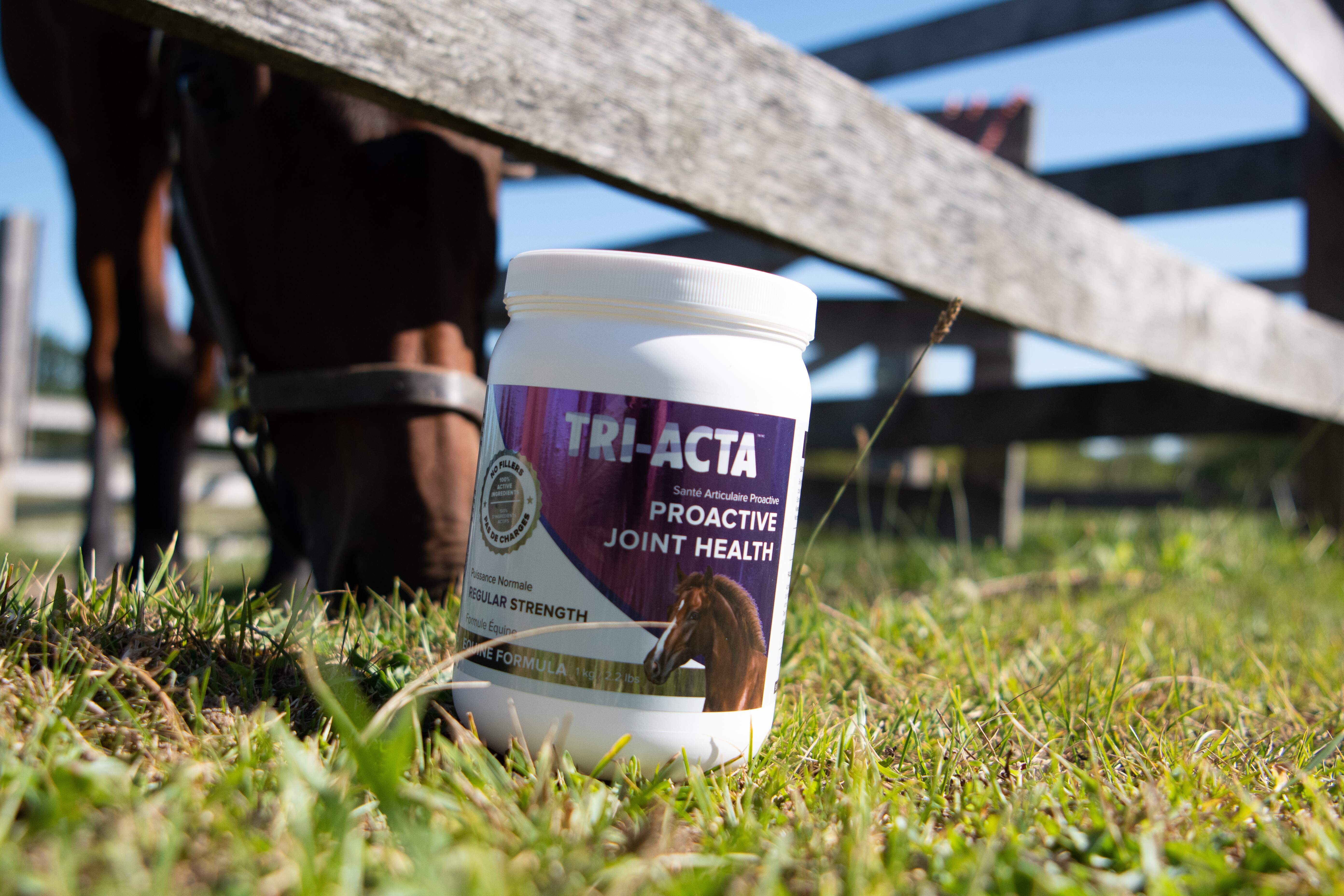 Horse Supplements